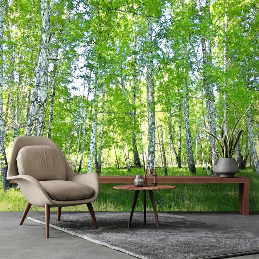 Fototapete Wald Sonne Grün 3D Bäume Birken Wohnzimmer VLIES TAPETE + KLEISTER
