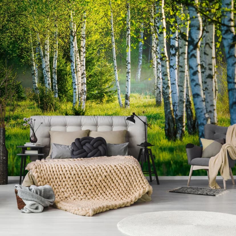 Fototapete Wald Sonne Grün Birken Bäume Wohnzimmer VLIES TAPETE XXL + KLEISTER