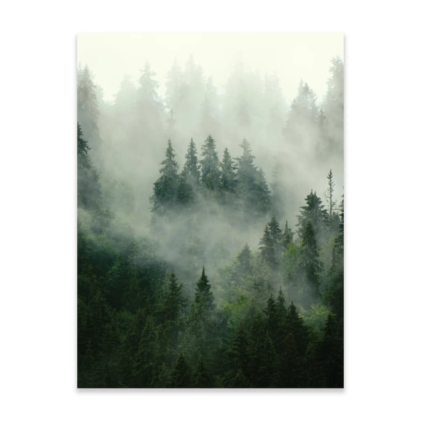 Poster Wald Nebel 30x40 / 50x70 / 70x100 Hochformat OHNE RAHMEN XXL Wandposter