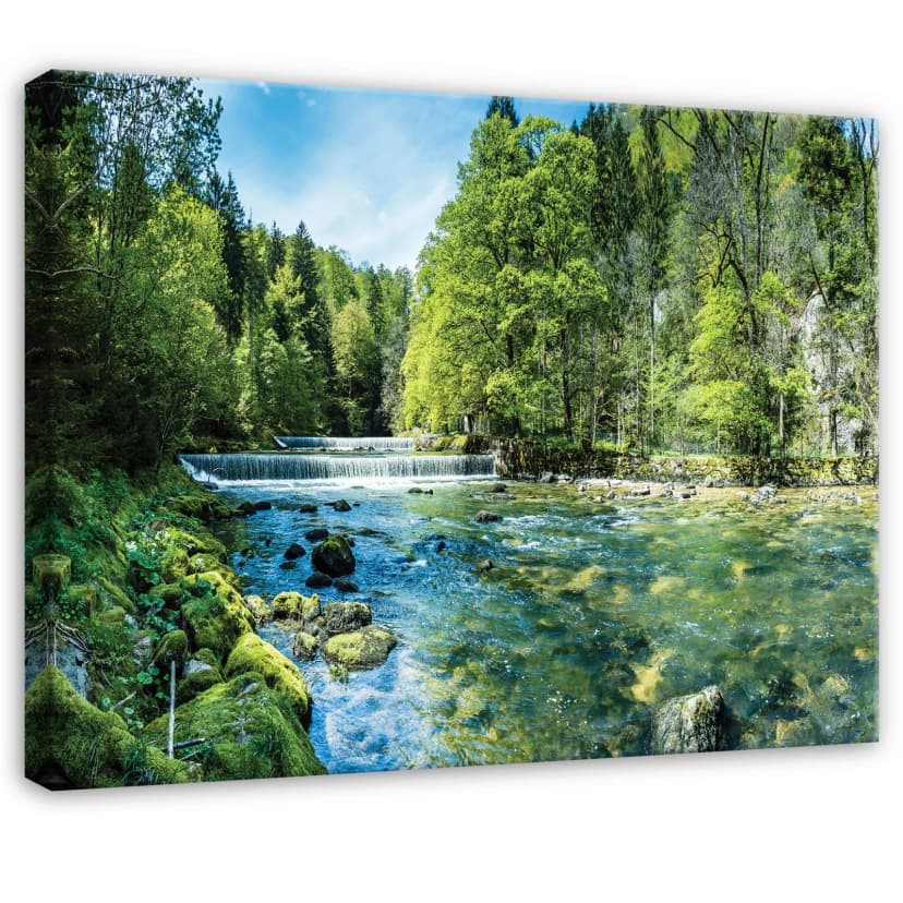 Leinwand Wald Wasser Grün Natur Wandbilder Groß Leinwandbild Wanddeko 165