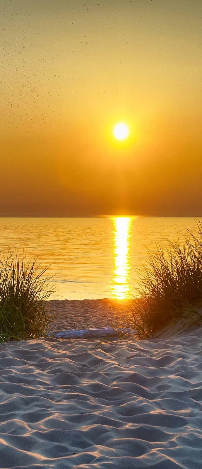 Türtapete Türposter XXL Meer Strand Ostsee Schlafzimmer Wohnzimmer Türbild 83
