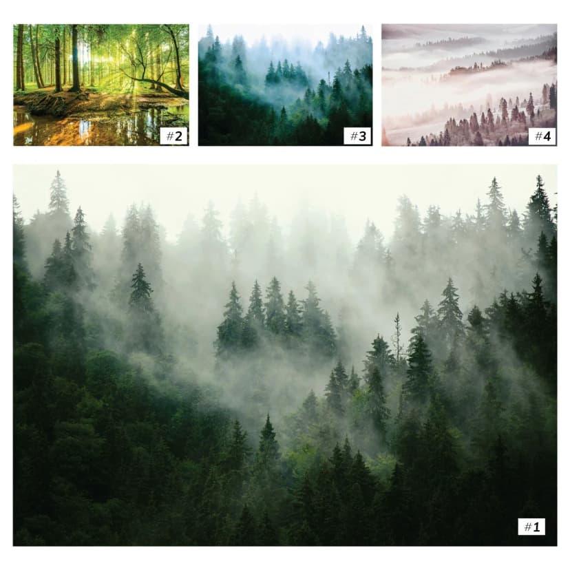 Fototapete WALD NEBEL 3D Vlies Tapete Bäume Landschaft Grün Natur + KLEISTER