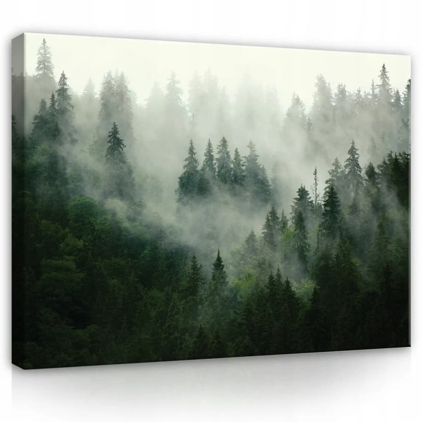 Leinwand Bilder WALD NEBEL NATUR XXL Wandbilder Modern Canvas Wohnzimmer 21