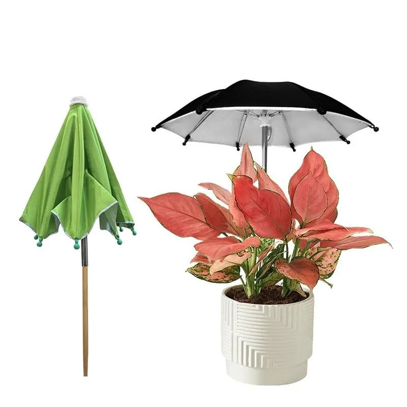 Pflanzenschirm zum Sonnenschutz Kleiner Regenschirm Gartenschirm Farbauswahl Neu