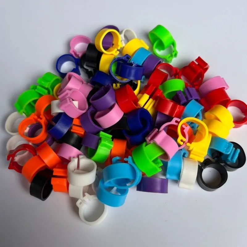 Ring für Geflügel Clip On Leg Ringe für Taube Hühner Küken Farbe wählbar 10mm