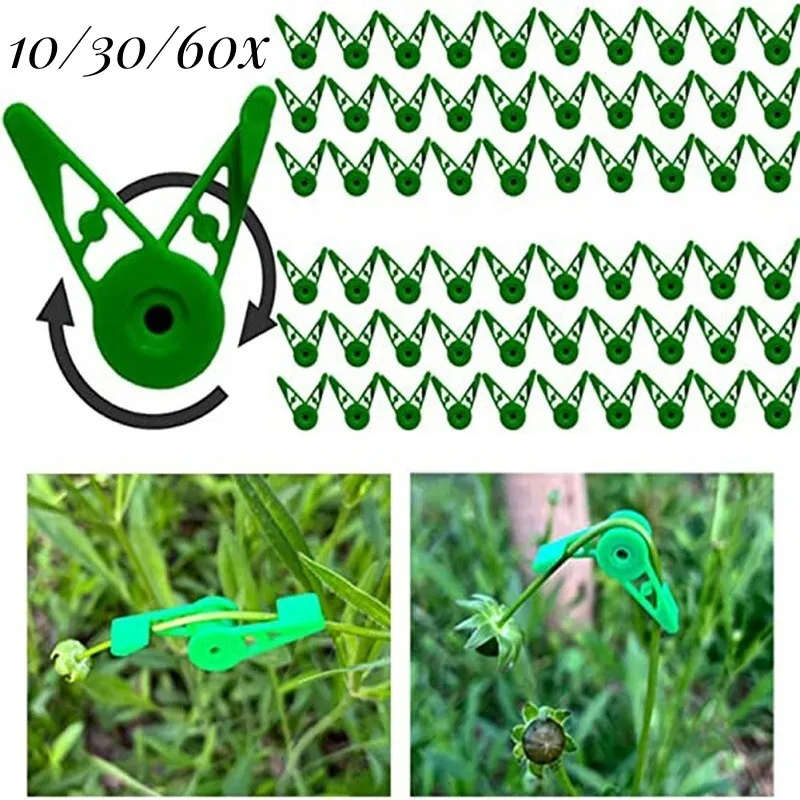 Pflanzenbinder Clip Für Low Stress Pflanzen Training Gartenhalter Verstellbar
