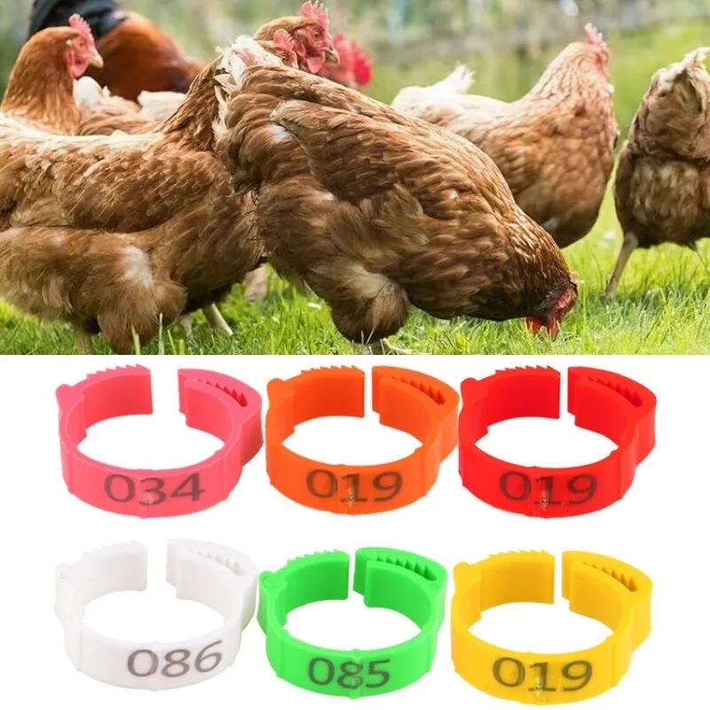 100x Verstellbar Clip On Leg Band Ringe für Hühner Enten Hühner Geflügel Taube