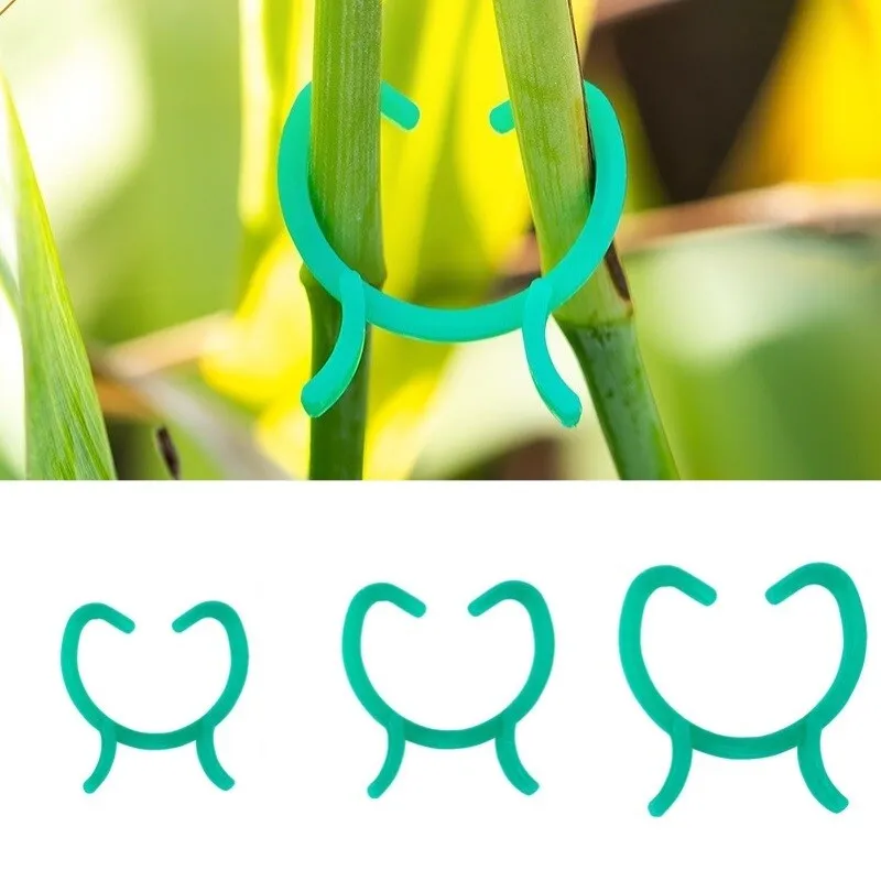 Pflanzenclips Pflanzenklammern Pflanzenringe Clips Rankhilfe Stabklammer Grün