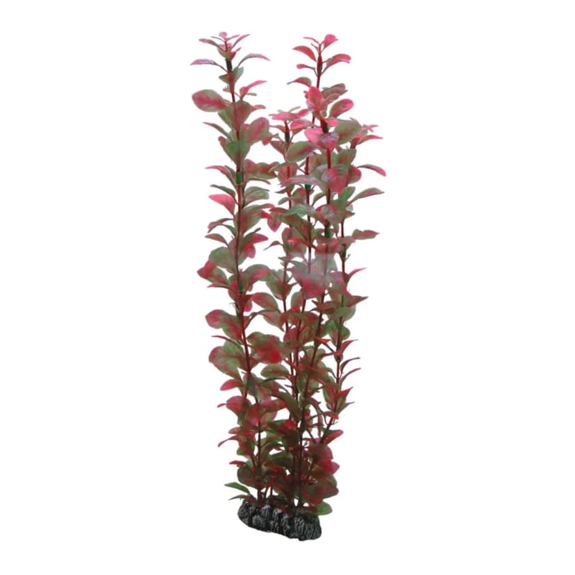 Hobby Ludwigia 34 cm-Künstliche Pflanze Aquarium Plastikpflanzen Aquarienpflanze