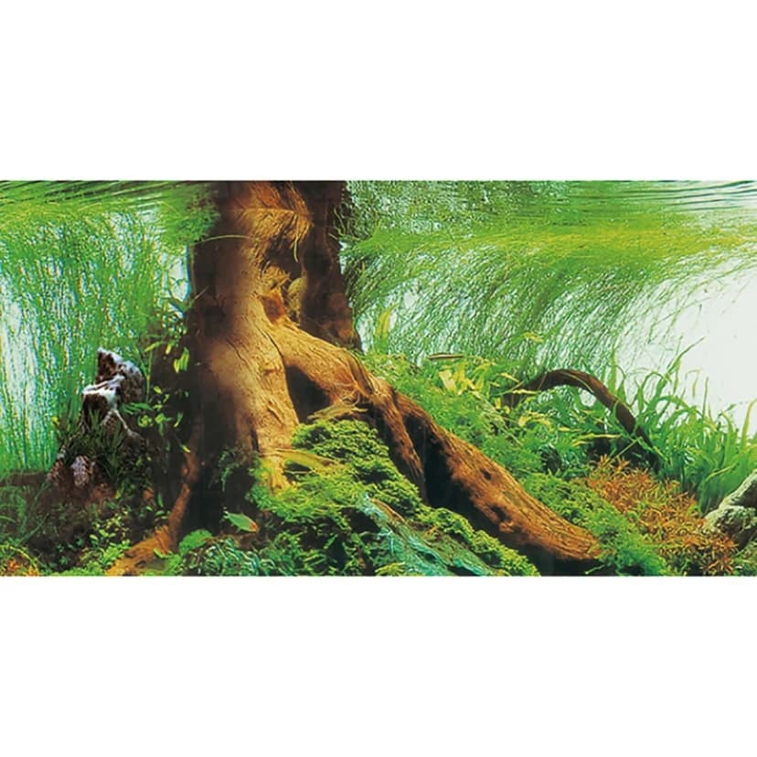 Hobby Fotorückwand Zuschnitt für Aquarien und Terrarien Dekofolie selbstklebend