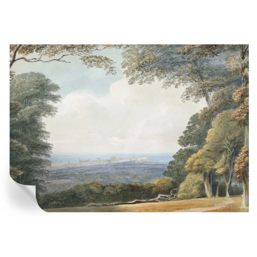 Große Fototapete Wanddeko Landschaft In Der Nähe Des Waldes, Blick Auf Die Stadt