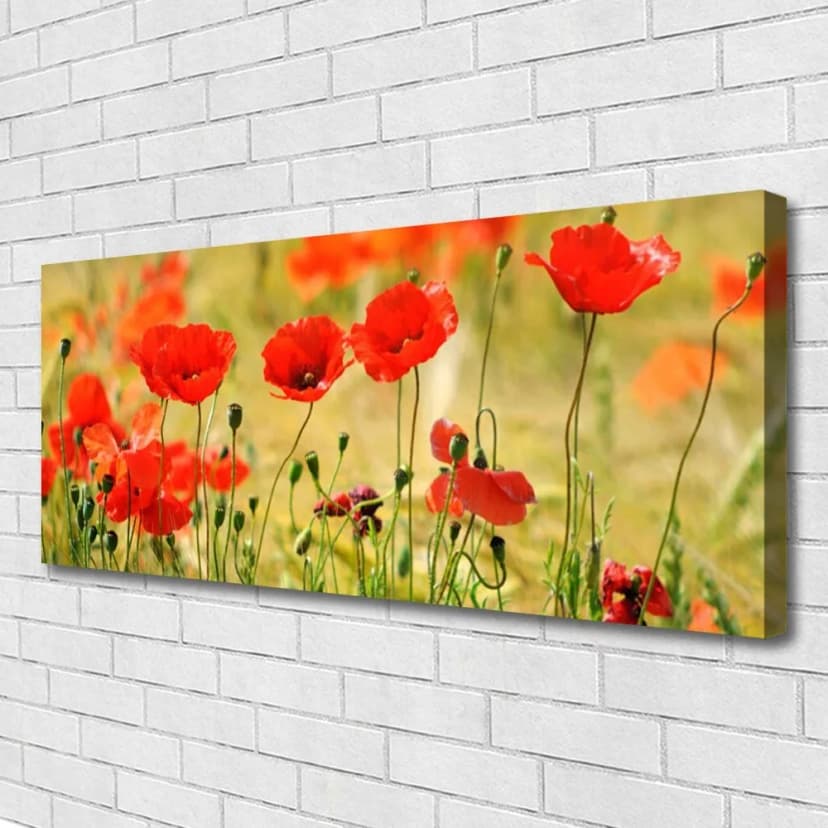 Leinwand-Bilder Wandbild Canvas Kunstdruck 125x50 Mohnblumen Natur