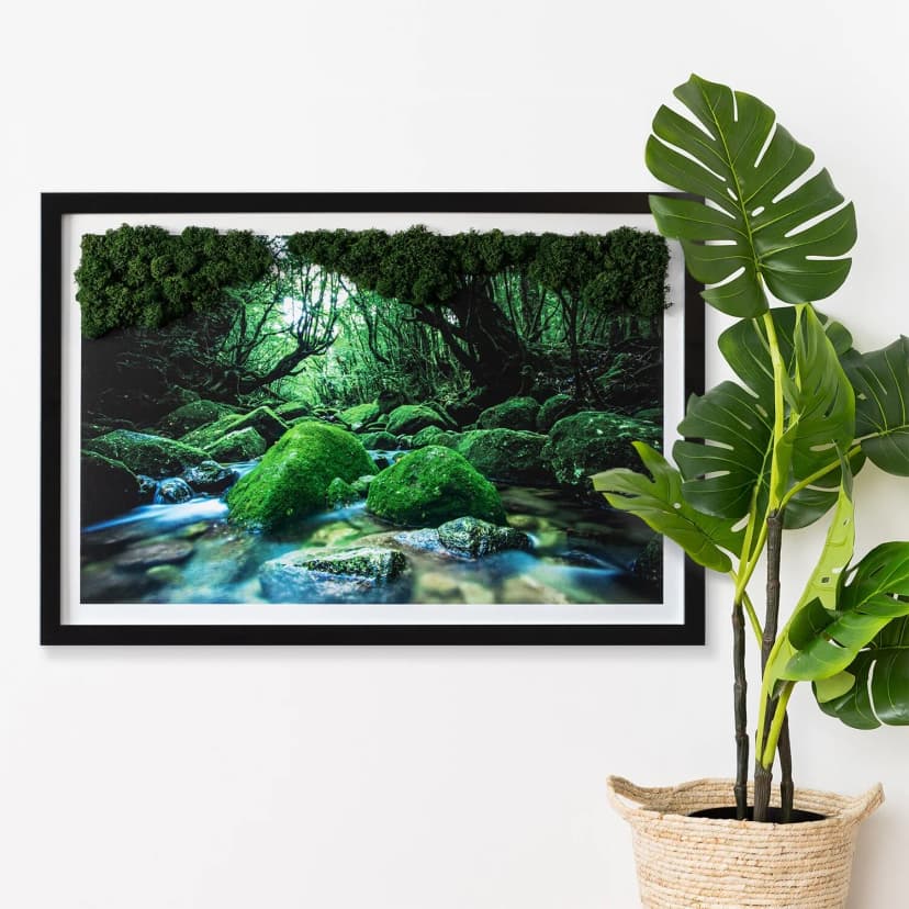 Wandbild mit Moos- Schwarzer Rahmen 60x40 cm- Fluss inmitten eines Waldes