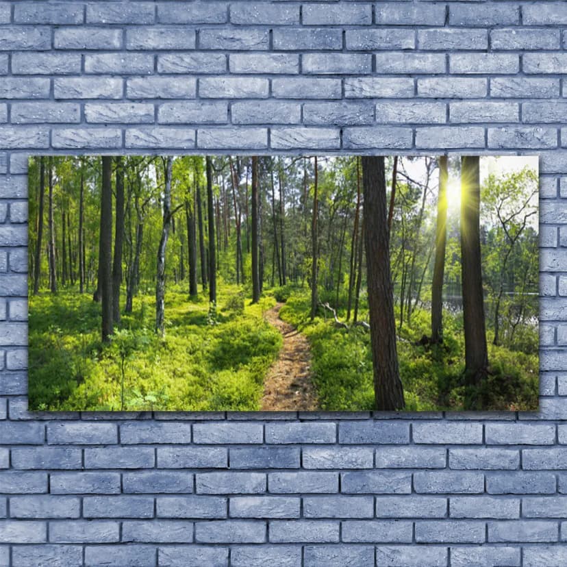 Leinwand-Bilder Wandbild Leinwandbild 140x70 Wald Natur
