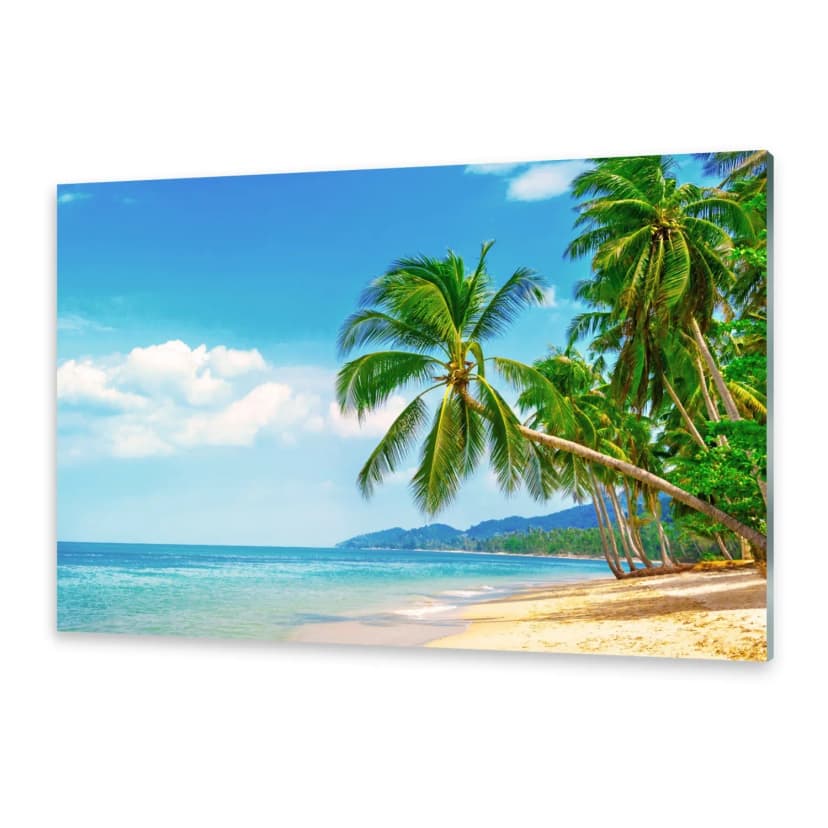 Glasbilder Wandbild Druck auf Glas Strand Palmen
