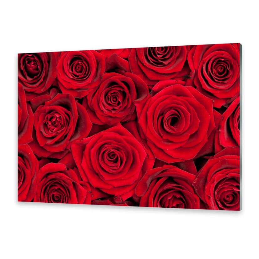 Glasbilder Wandbild Druck auf Glas Rote Rosen