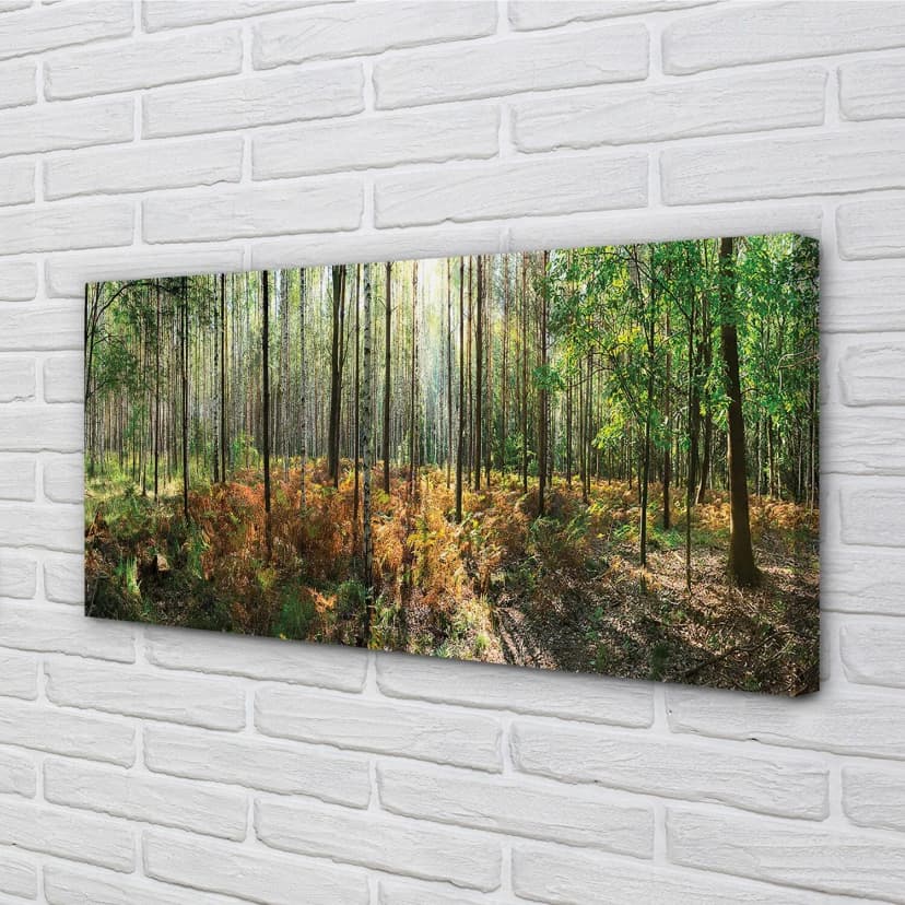 Tulup Leinwandbild 140x70 Wandkunst Wald Birke