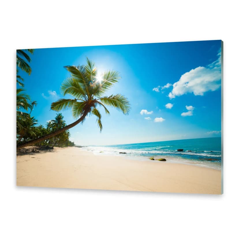 Glasbilder Wandbild Druck auf Glas Tropischer Strand