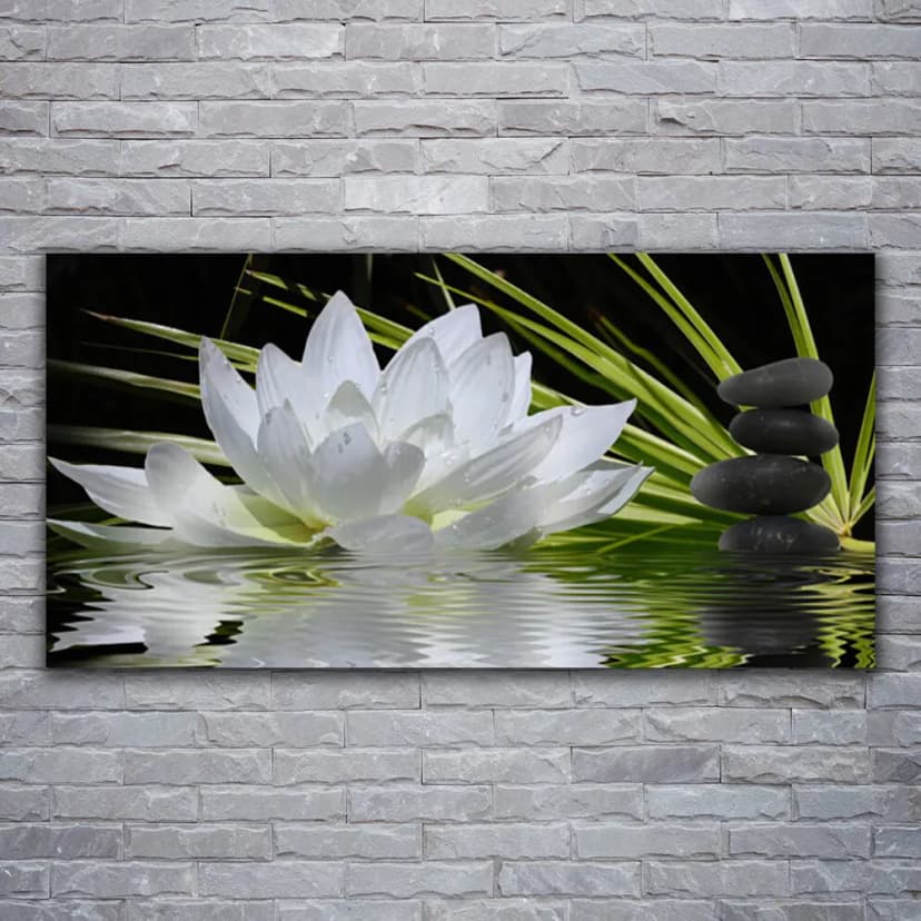 Wandbilder Glasbilder Druck auf Glas 120x60 Blume Steine Wasser Pflanzen