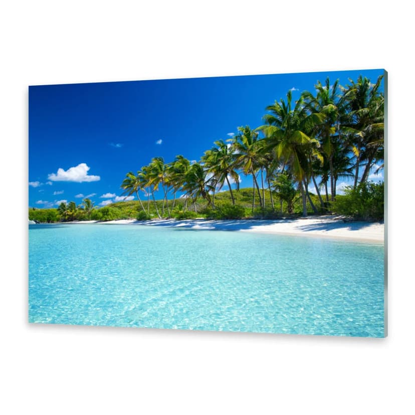 Glasbilder Wandbild Druck auf Glas Palmen Strand