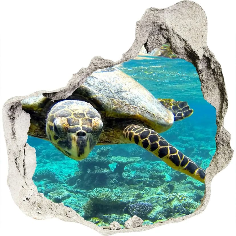 Wandtattoo 3D Loch Aufkleber Wandbild Wandsticker 100x100 cm Meeresschildkröte