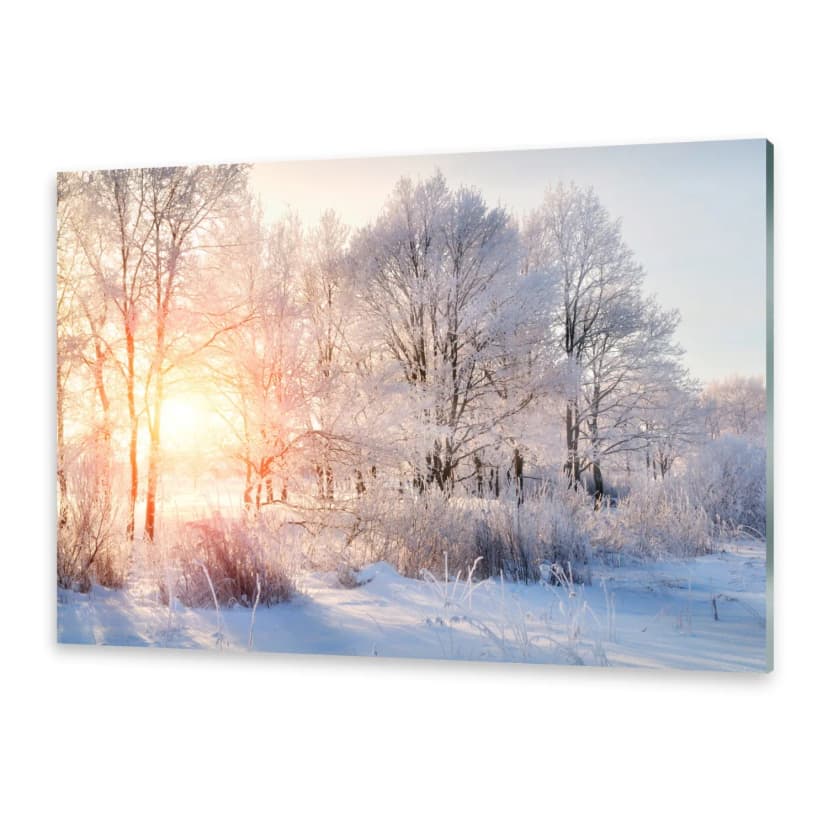 Glasbilder Wandbild Druck auf Glas Bäume Winter