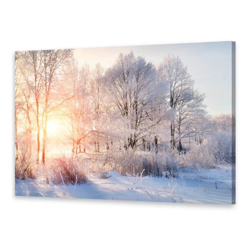 Leinwand-Bilder Wandbild Druck auf Canvas Kunstdruck Bäume Winter