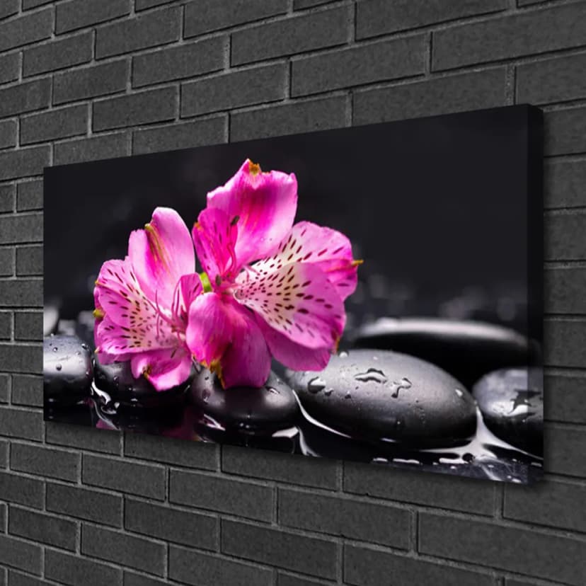 Leinwand-Bilder 100x50 Wandbild Canvas Kunstdruck Blumen Steine Pflanzen