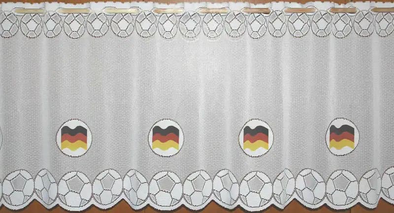 Fußball WM 2018 Fanartikel Gardine DEUTSCHLAND Fussball Weltmeisterschaft Typ79 – neu – Möbel – überwiegend silber – Foto 1…