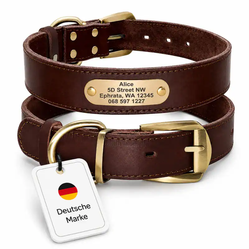 Hundehalsband mit Namen und Telefonnummer Gravur personalisiert, Leder, Messing – neu – Sonstiges – überwiegend weiß – Foto…