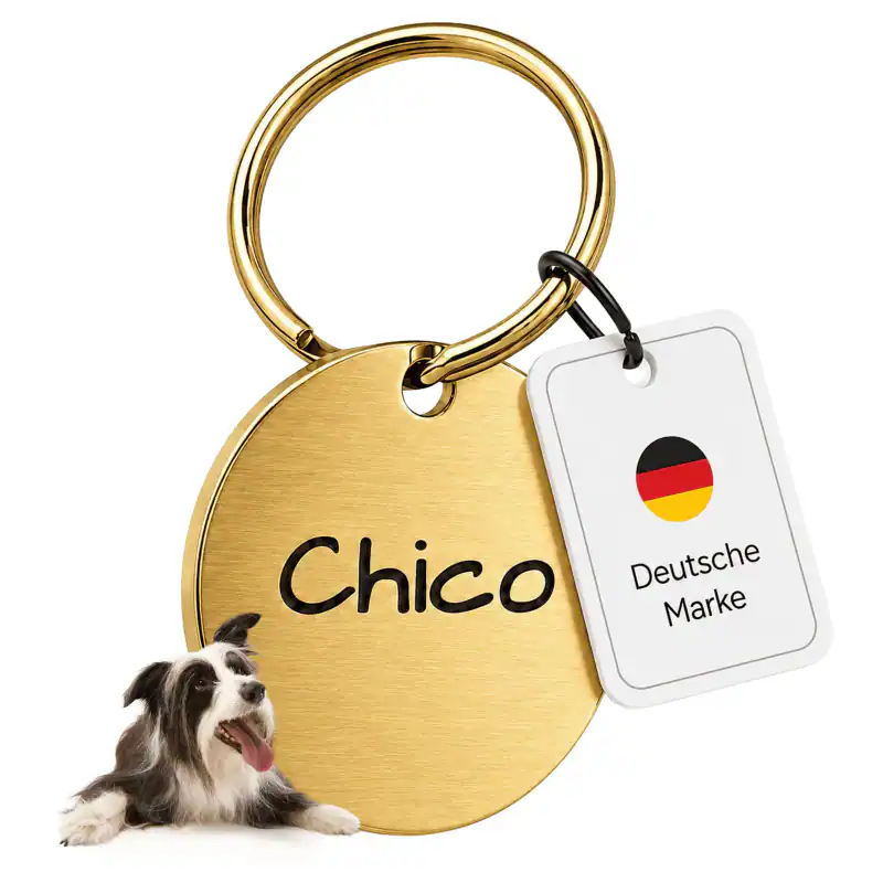 Personalisierte Hundemarke mit Namen Gravur Namensschild Hunde Adressanhänger – neu – Sonstiges – überwiegend weiß – Foto 1…
