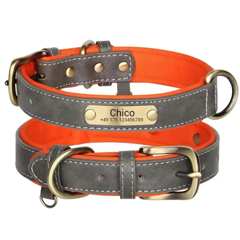 Schickes Hundehalsband mit Gravur Grau, Oranges Neopren Mesh innen – neu – Sonstiges
