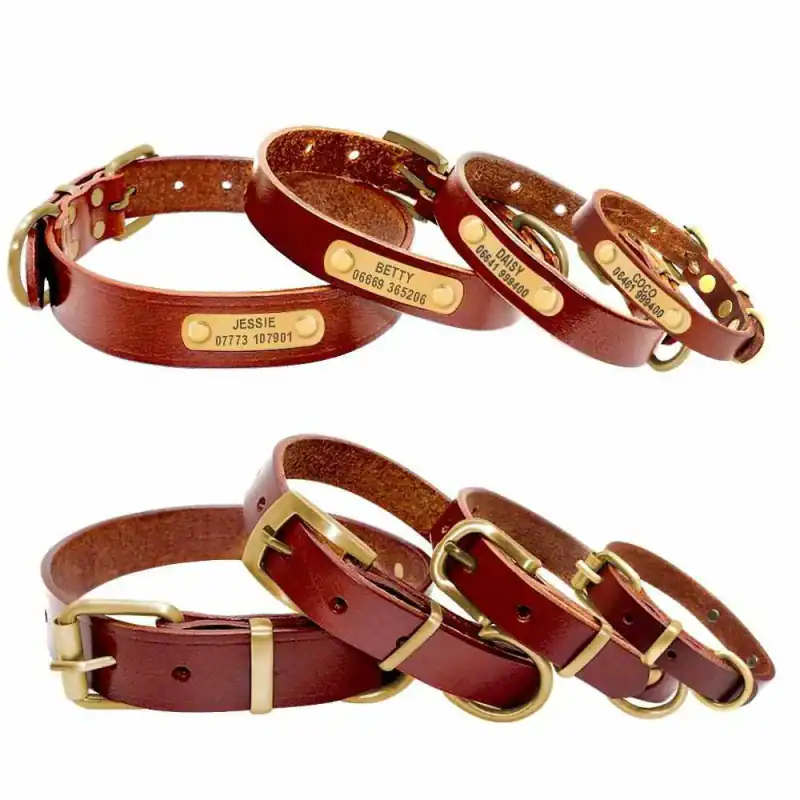 Hundehalsband Mit Namen Telefonnummer Gravur Personalisiert Verstellbar Leder – neu – Sonstiges – überwiegend weiß – Foto 1…