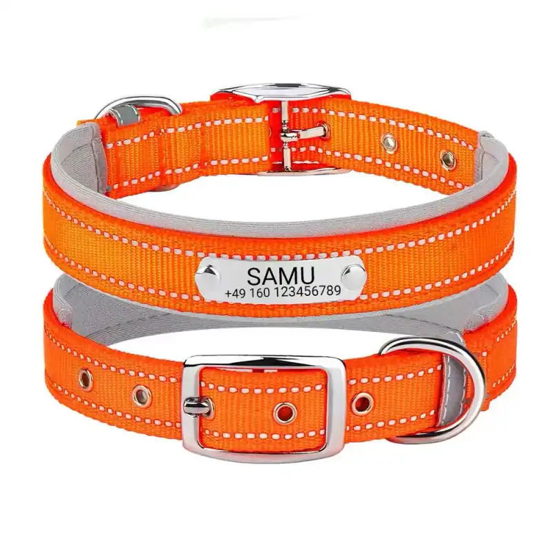 Samu Hundehalsband graviert personalisiert Nylon Neopren reflektierend – neu – Sonstiges – überwiegend weiß – Foto 1 von 4