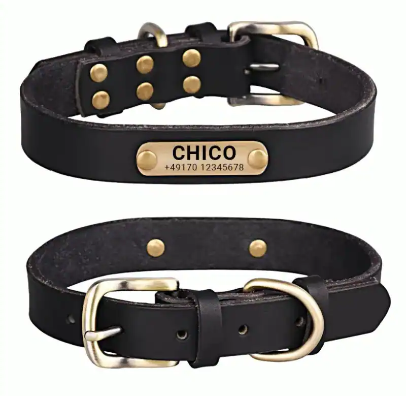 Hundehalsband Namen Telefonnummer Gravur Personalisiert Halsband Weiches Leder – neu – Sonstiges – überwiegend weiß – Foto…