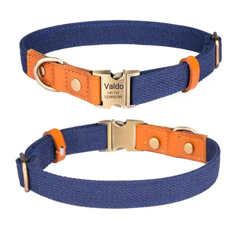 VALDO Hundehalsband mit Gravur – PVC & Leder – Messing – Blau Grün S–L – neu – Sonstiges – Foto 1 von 5