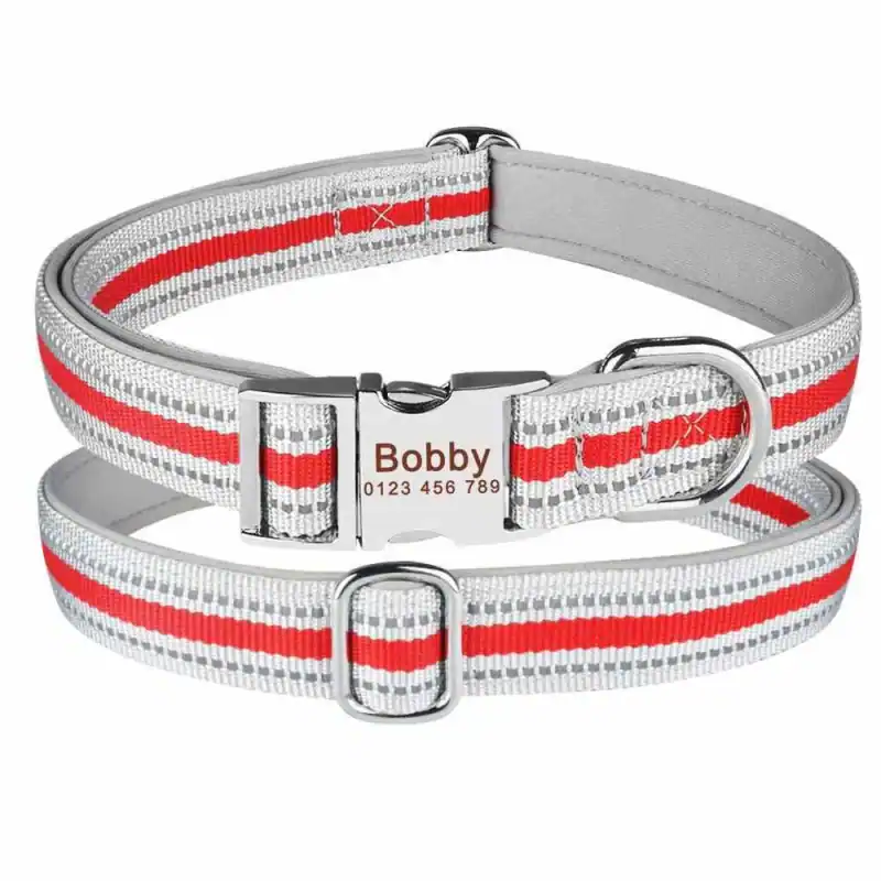 Hundehalsband Namen Telefonnummer Gravur Personalisiert Halsband Verstellbar – neu – Sonstiges – überwiegend weiß – Foto 1…