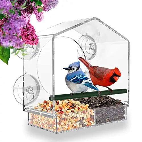 Mrcrafts Fenster Vogelfutterhaus für draußen mit starken Saugnäpfen, passend für – neu – Garten & Pflanzen – überwiegend…