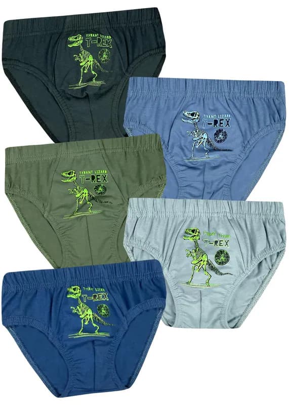 5 Jungen Slips Unterhosen Baumwolle Unterwäsche Unterhosen Kinder Dinosaurier – neu – Sonstiges – überwiegend weiß – Foto 1…