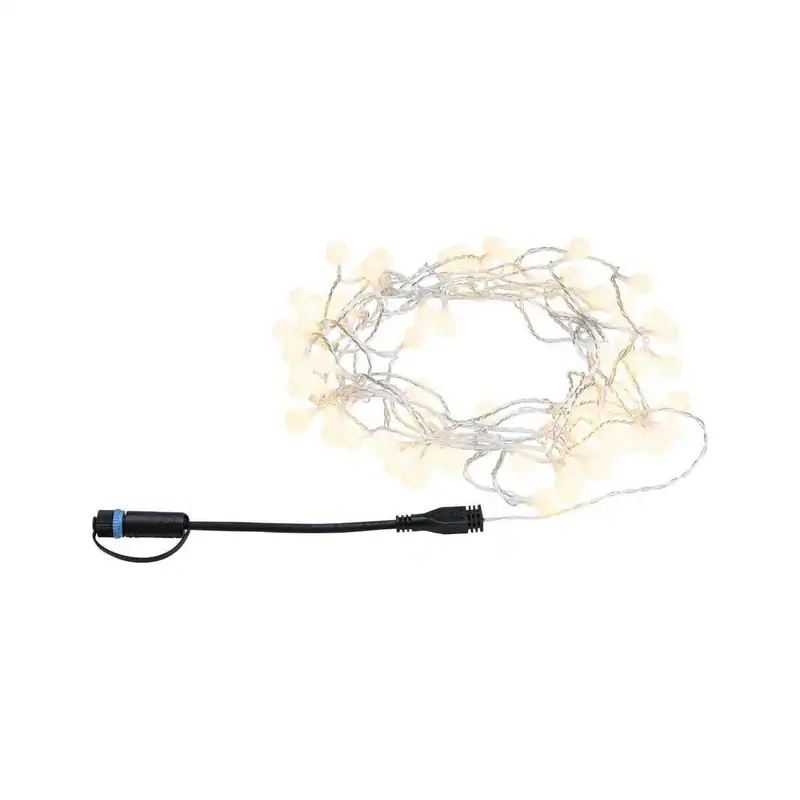 Paulmann Plug & Shine LED Lichterkette, 3000K, IP44, 5m oder 7,5m, Schwarz