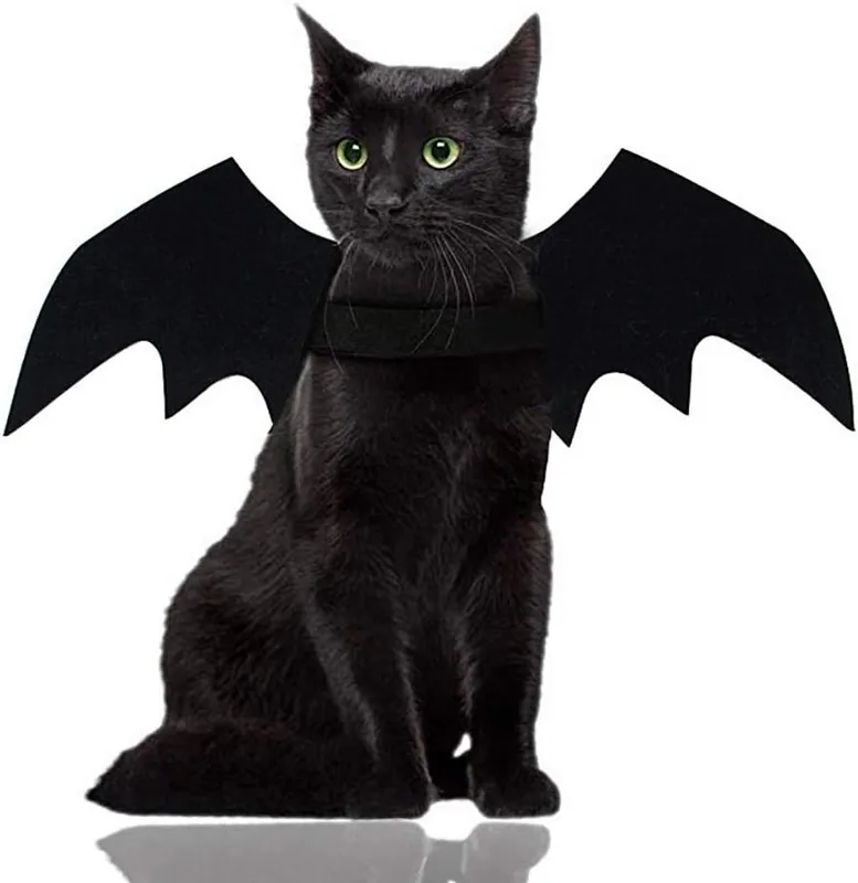 Halloween Haustierkostüm mit Fledermausflügeln - Ideal für Katzen & Hunde -