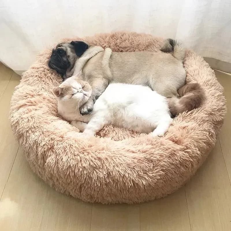 Superweiches Plüsch Katzen Donut Bett Waschbar Beruhigend Haustier Kissen