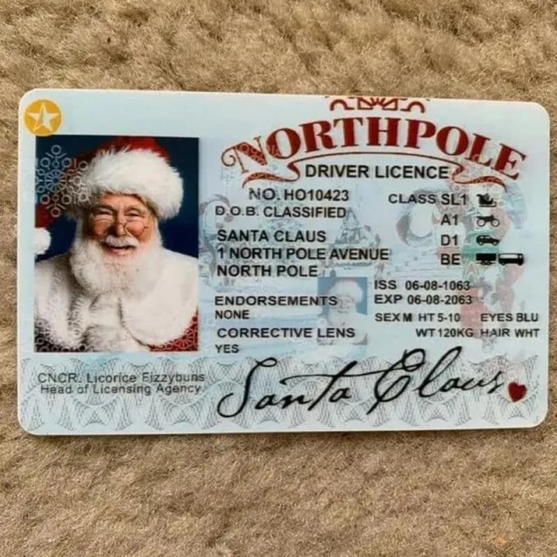 Weihnachtsmann Führerschein verloren Weihnachtsdeko, Neuheit Nikolausschlitten