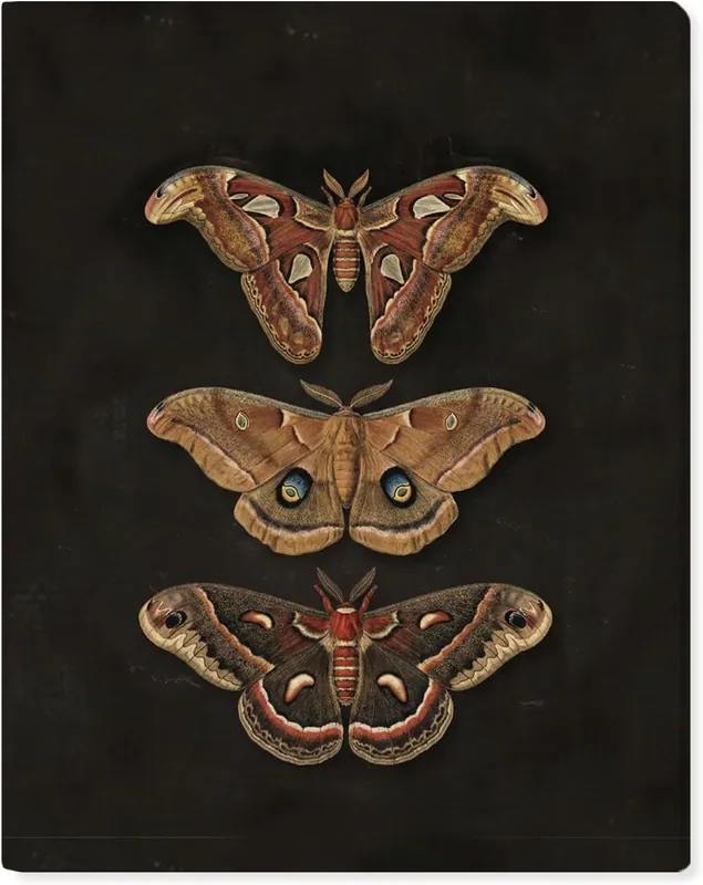 Dark Academia Schmetterling Leinwand Wandbild gerahmt, Vintage Gothic Moody