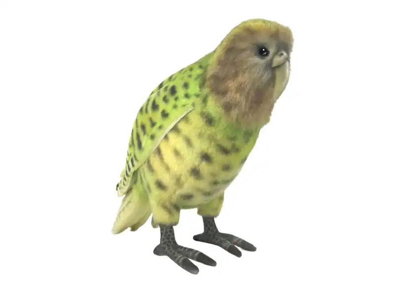 Hansa Kakapo lebensechtes Plüschtier Kuscheltier 33 cm L Vogelliebhaber