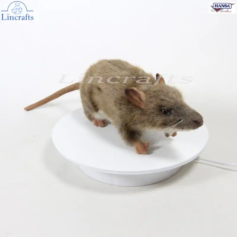 Hansa Langnasen Bandicoot 6042 Plüschtier Kuscheltier Nager, ähnlich Maus oder