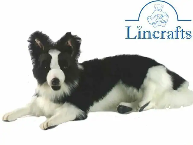 Hansa Border Collie 4564 Plüschtier Kuscheltier verkauft von Lincrafts UK Est