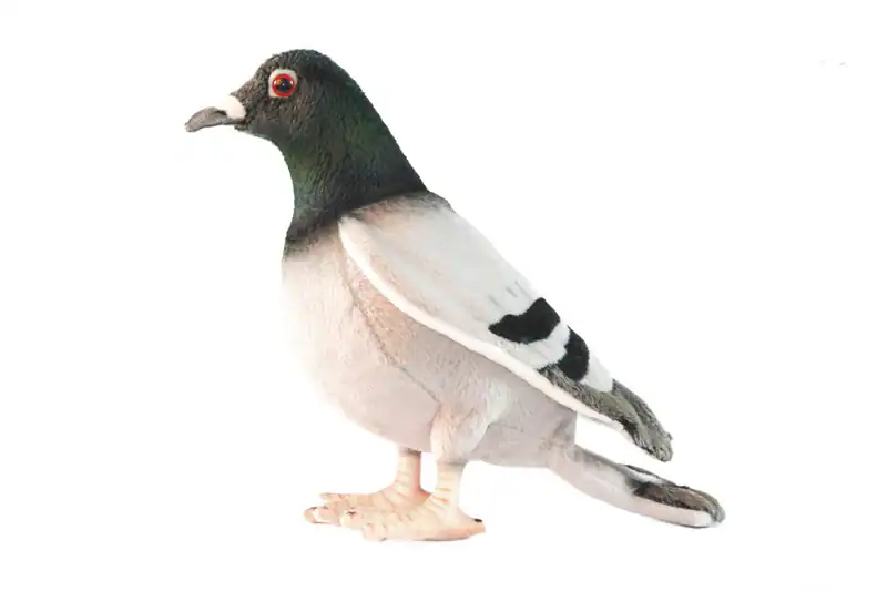 Taube 6299 Plüschtier Kuscheltier Vogel von Hansa Creation verkauft von