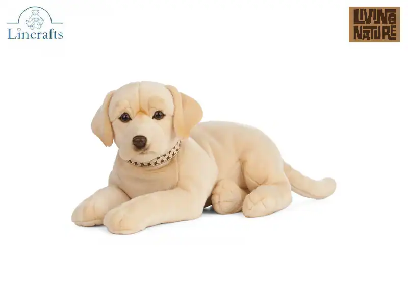 Golden Labrador liegend Plüschtier Stofftier Hund Teddy. 10 Jahre Garantie.