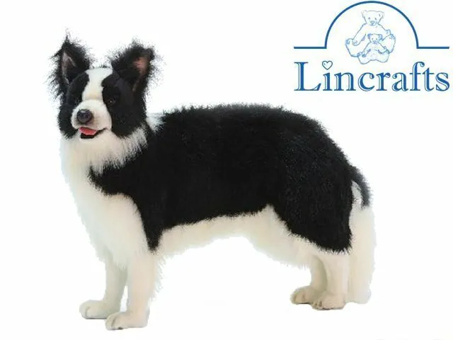 Hansa Border Collie 4563 Plüschtier Kuscheltier verkauft von Lincrafts UK Est